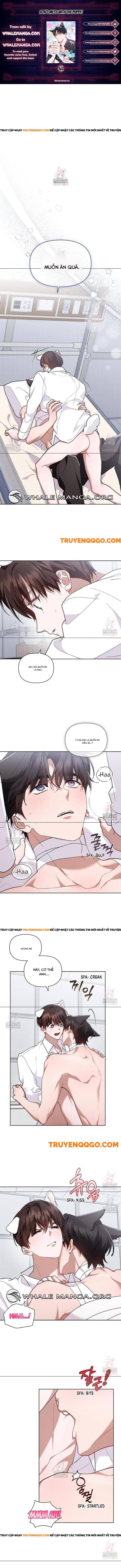 Đừng Đùa Với Cún Con Chapter 41 - Trang 2
