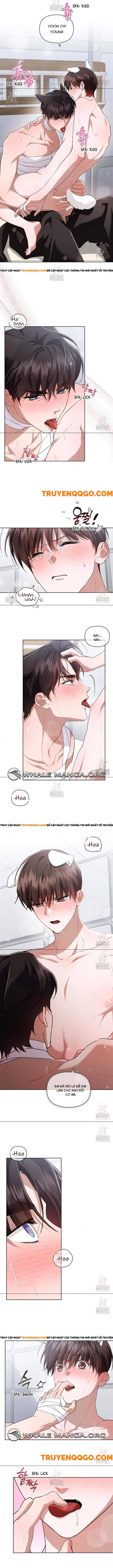 Đừng Đùa Với Cún Con Chapter 41 - Trang 2