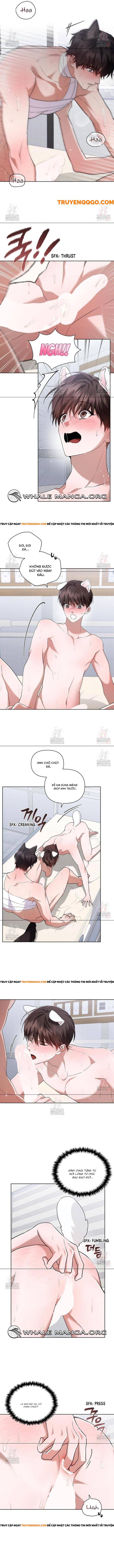 Đừng Đùa Với Cún Con Chapter 41 - Trang 2