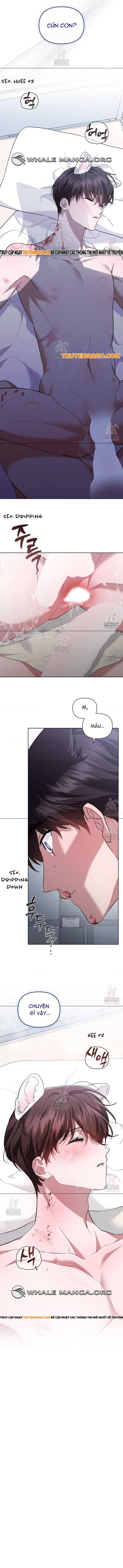 Đừng Đùa Với Cún Con Chapter 42 - Trang 2