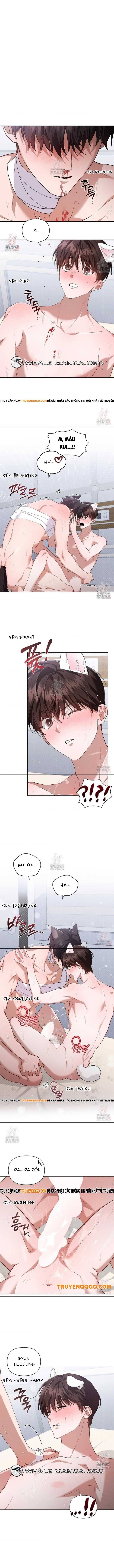 Đừng Đùa Với Cún Con Chapter 42 - Trang 2