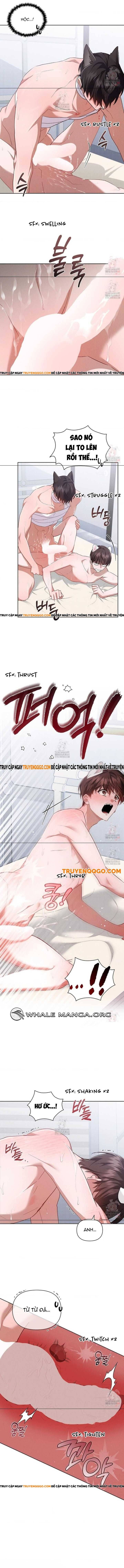 Đừng Đùa Với Cún Con Chapter 42 - Trang 2