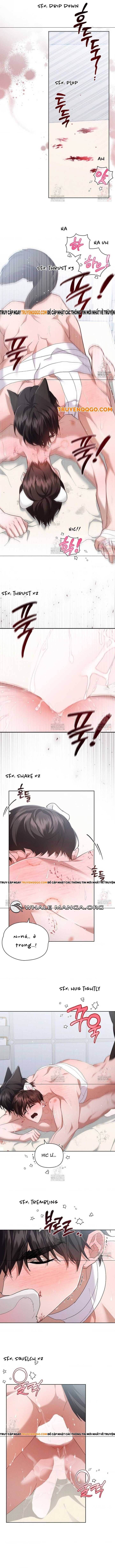 Đừng Đùa Với Cún Con Chapter 42 - Trang 2