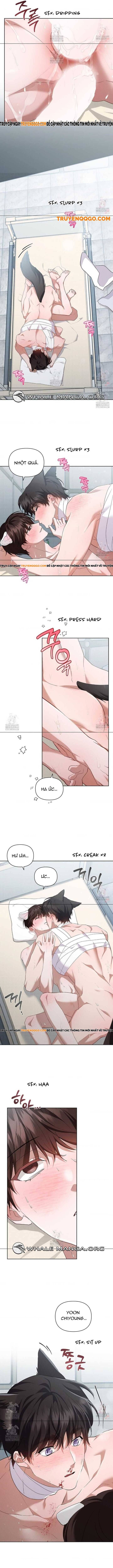 Đừng Đùa Với Cún Con Chapter 42 - Trang 2