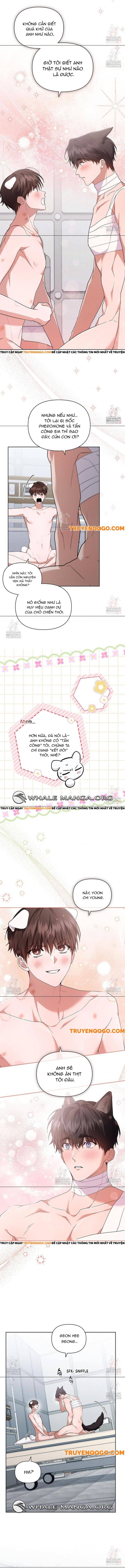 Đừng Đùa Với Cún Con Chapter 43 - Trang 2