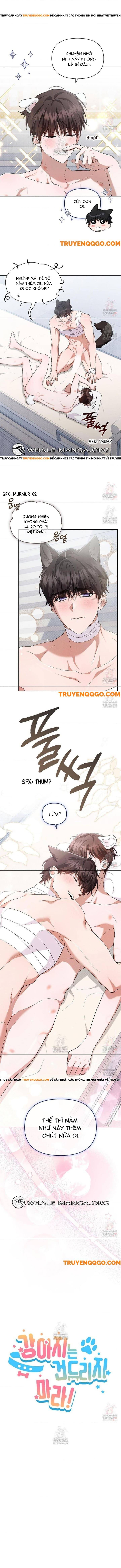 Đừng Đùa Với Cún Con Chapter 43 - Trang 2