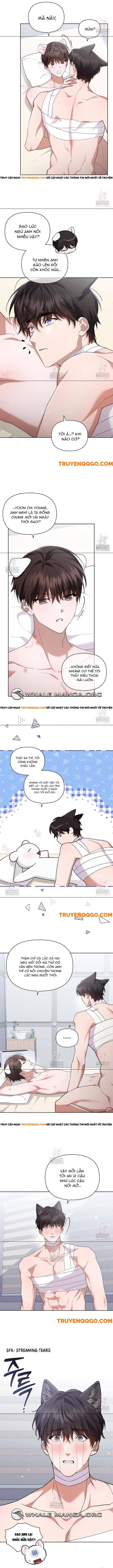 Đừng Đùa Với Cún Con Chapter 43 - Trang 2