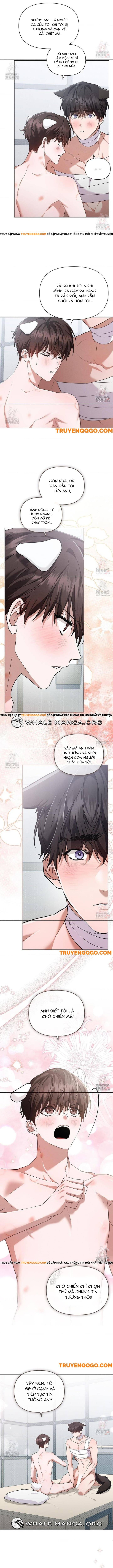 Đừng Đùa Với Cún Con Chapter 43 - Trang 2