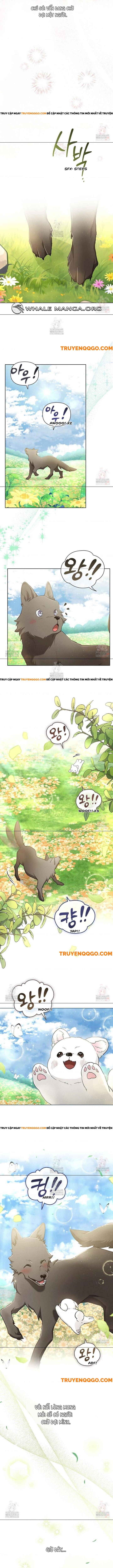 Đừng Đùa Với Cún Con Chapter 44 - Trang 2