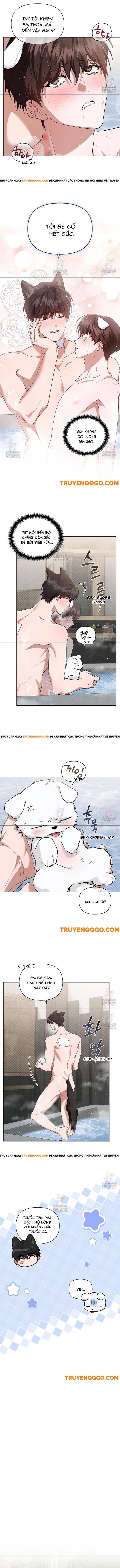 Đừng Đùa Với Cún Con Chapter 44 - Trang 2