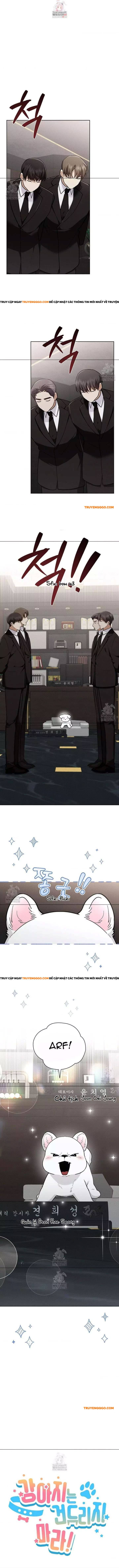 Đừng Đùa Với Cún Con Chapter 45 - Trang 2