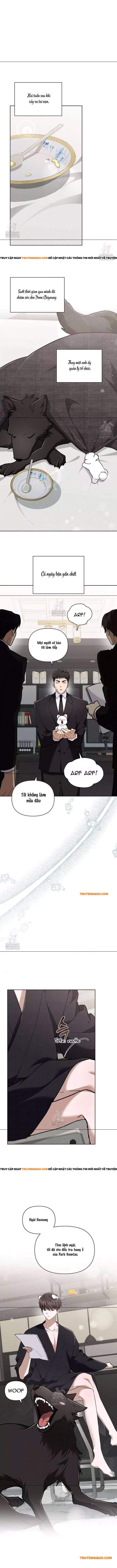 Đừng Đùa Với Cún Con Chapter 45 - Trang 2