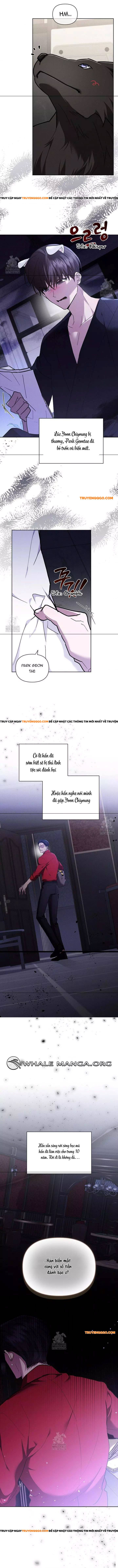 Đừng Đùa Với Cún Con Chapter 45 - Trang 2