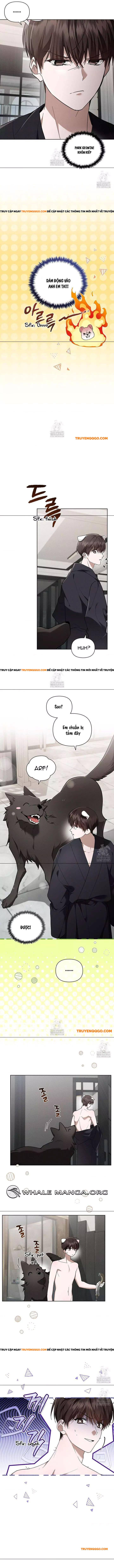 Đừng Đùa Với Cún Con Chapter 45 - Trang 2