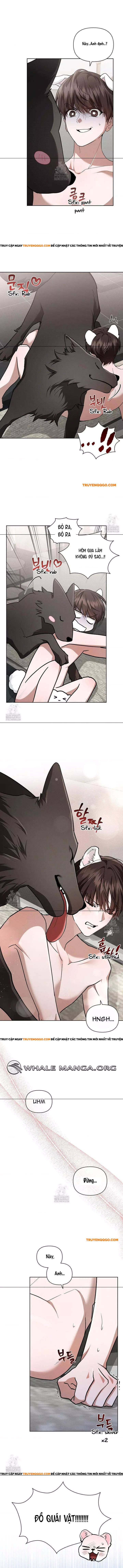 Đừng Đùa Với Cún Con Chapter 45 - Trang 2