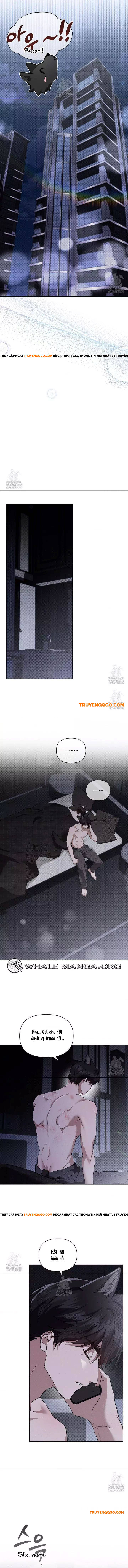 Đừng Đùa Với Cún Con Chapter 45 - Trang 2