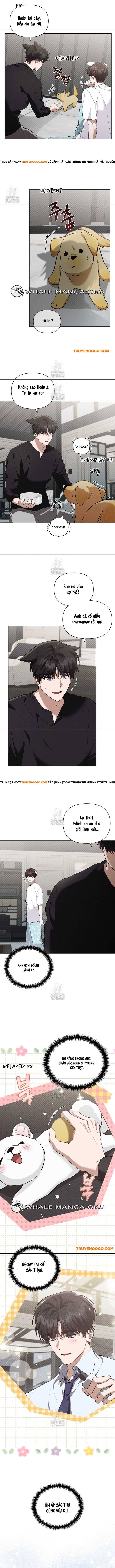 Đừng Đùa Với Cún Con Chapter 46 - Trang 2
