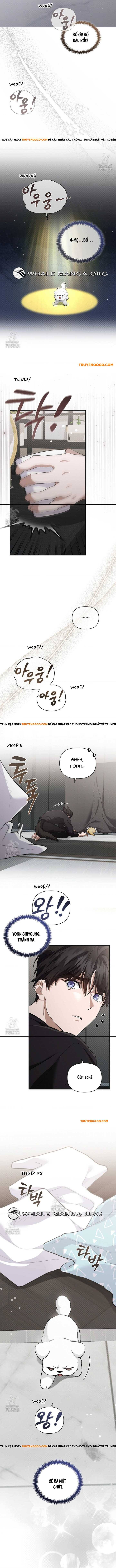 Đừng Đùa Với Cún Con Chapter 46 - Trang 2