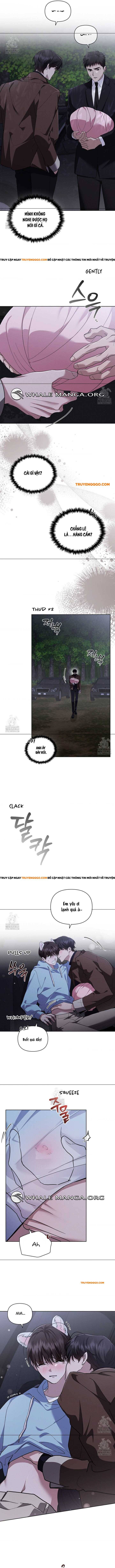 Đừng Đùa Với Cún Con Chapter 46 - Trang 2