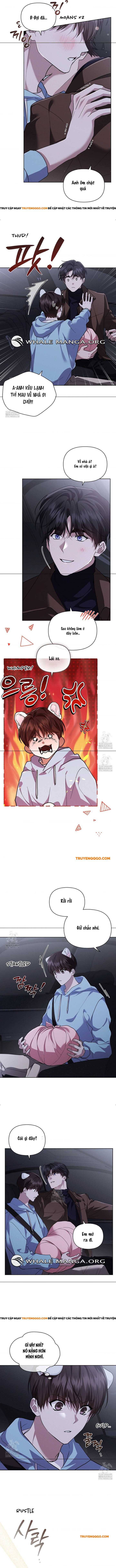 Đừng Đùa Với Cún Con Chapter 46 - Trang 2