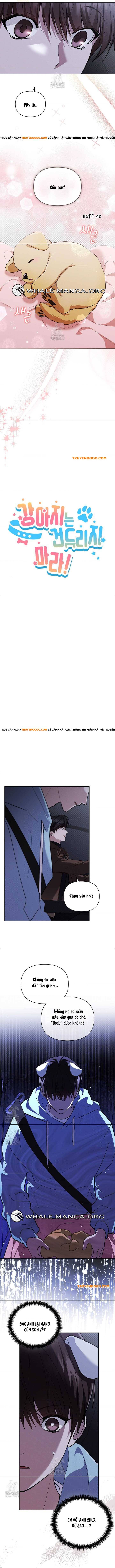 Đừng Đùa Với Cún Con Chapter 46 - Trang 2