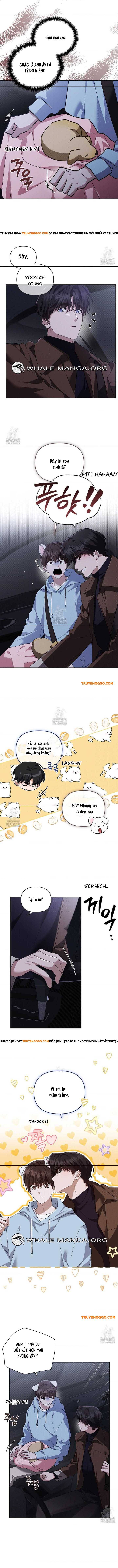 Đừng Đùa Với Cún Con Chapter 46 - Trang 2