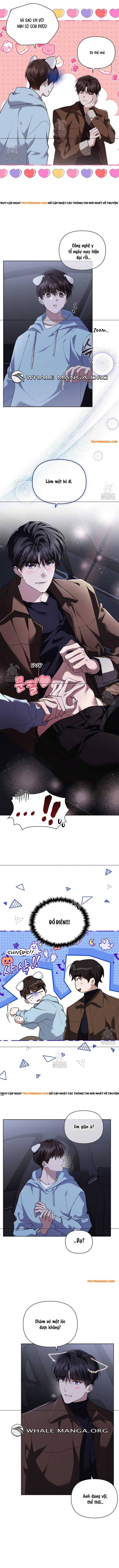 Đừng Đùa Với Cún Con Chapter 46 - Trang 2