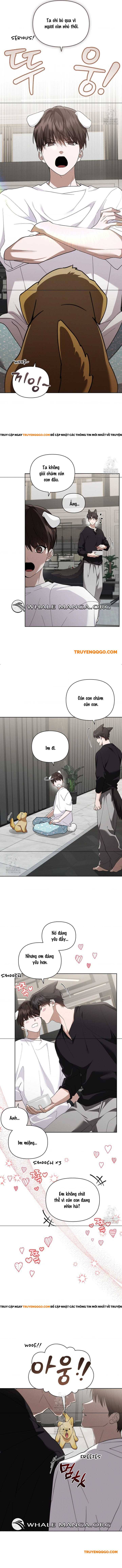 Đừng Đùa Với Cún Con Chapter 46 - Trang 2