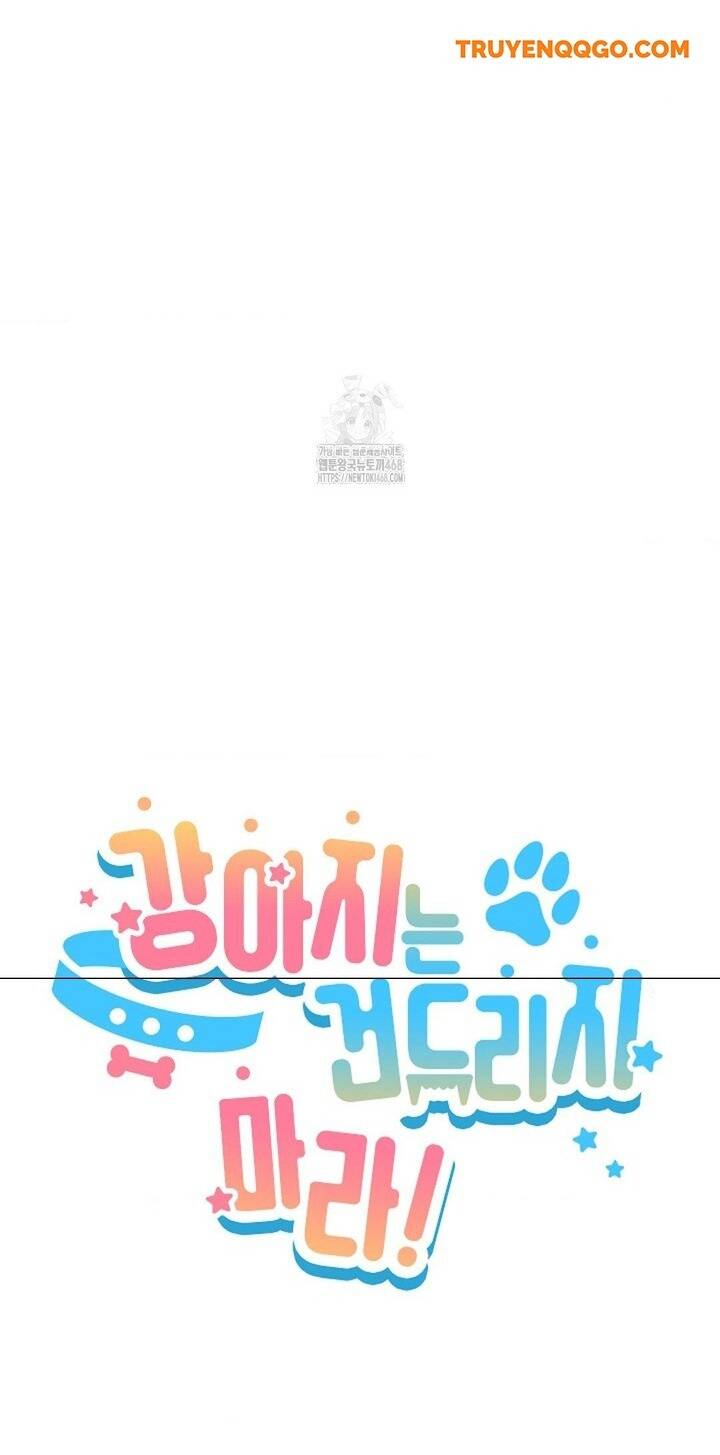 Đừng Đùa Với Cún Con Chapter 48 - Trang 2