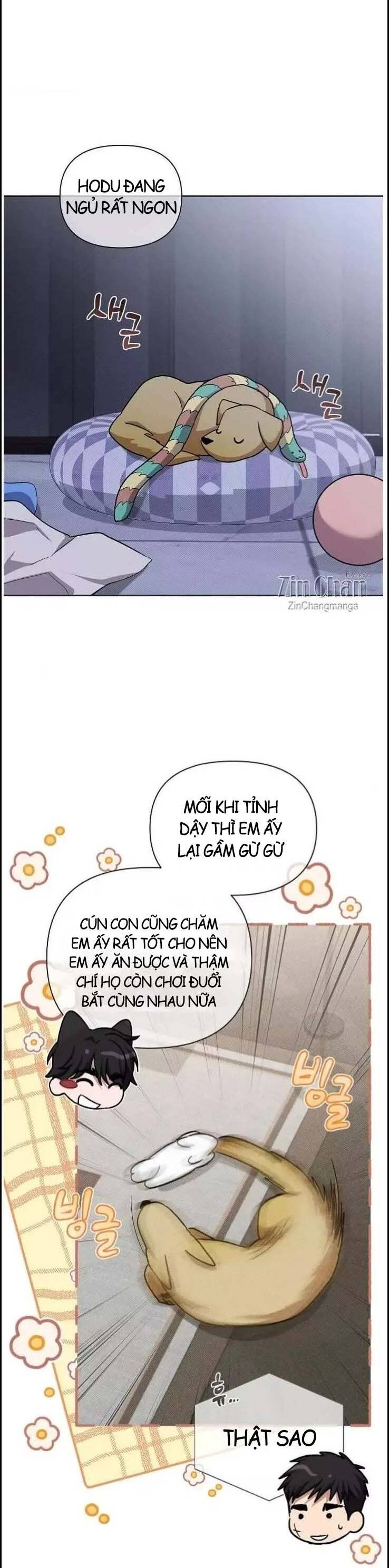 Đừng Đùa Với Cún Con Chapter 49 - Trang 2