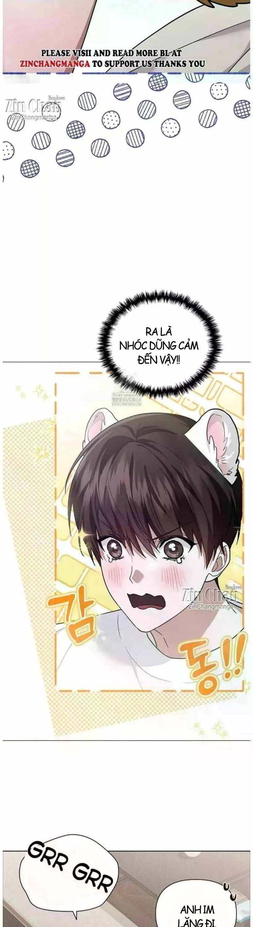 Đừng Đùa Với Cún Con Chapter 50 - Trang 2