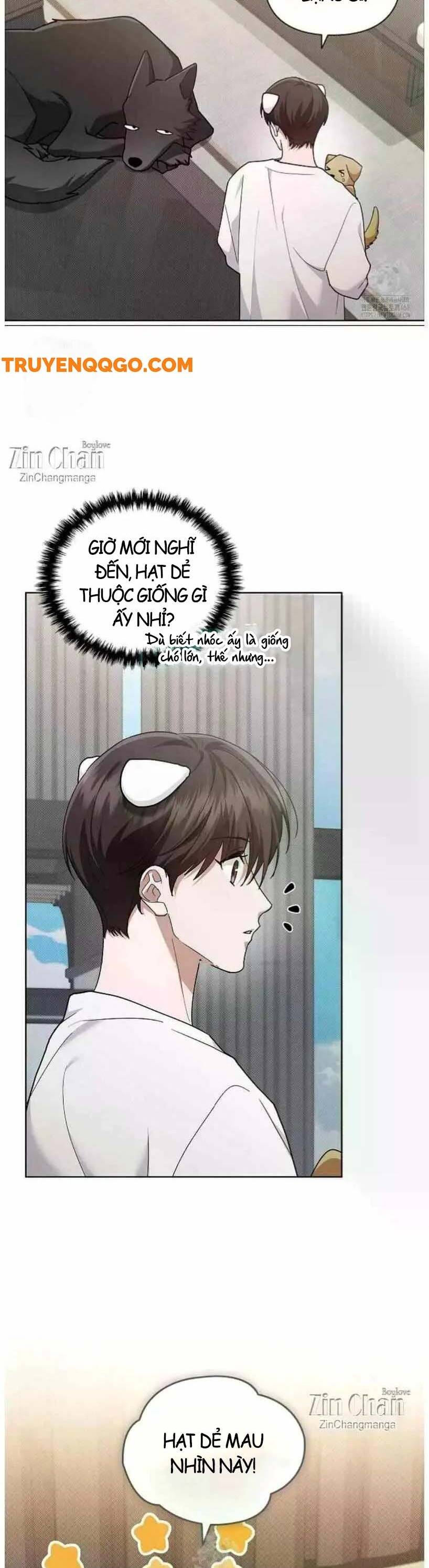Đừng Đùa Với Cún Con Chapter 50 - Trang 2
