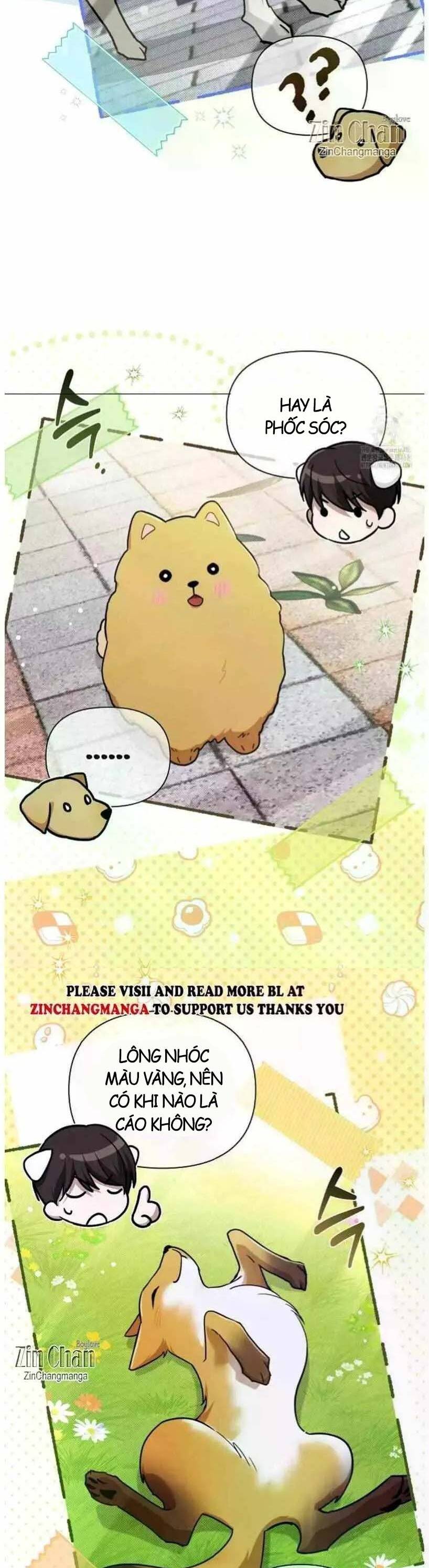 Đừng Đùa Với Cún Con Chapter 50 - Trang 2