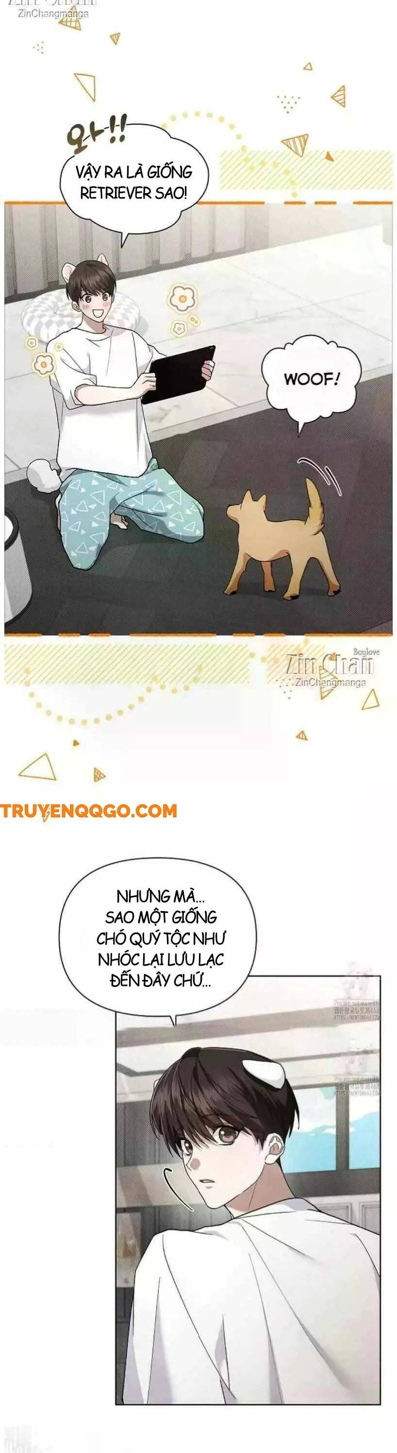 Đừng Đùa Với Cún Con Chapter 50 - Trang 2