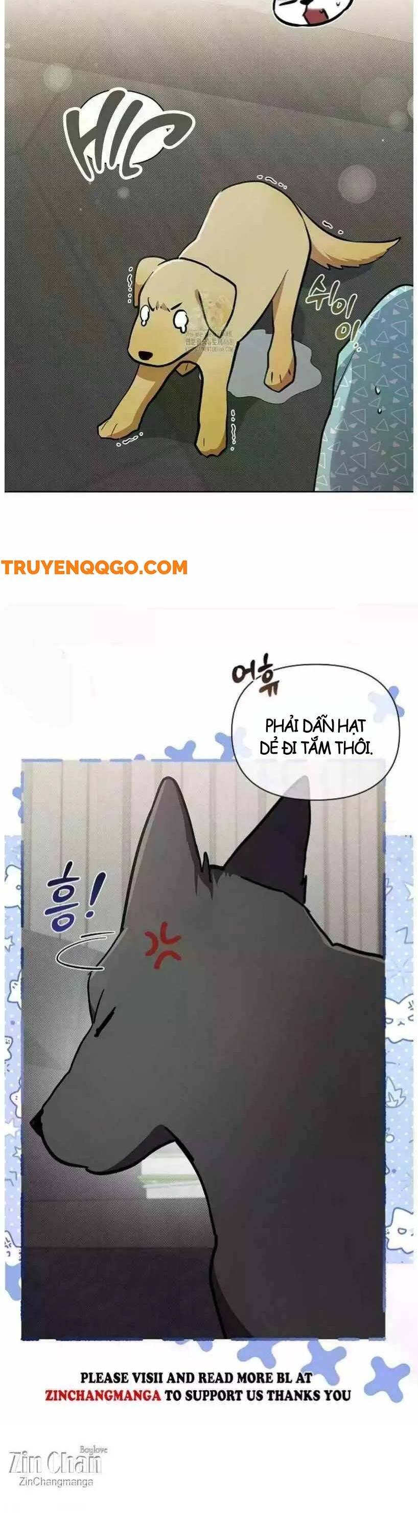 Đừng Đùa Với Cún Con Chapter 50 - Trang 2