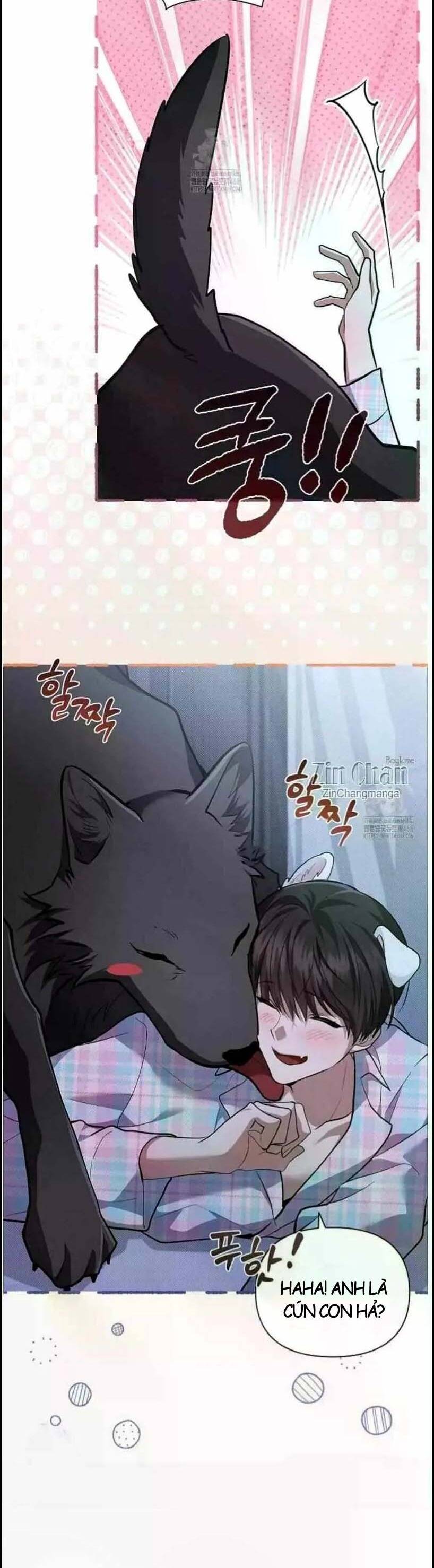 Đừng Đùa Với Cún Con Chapter 50 - Trang 2