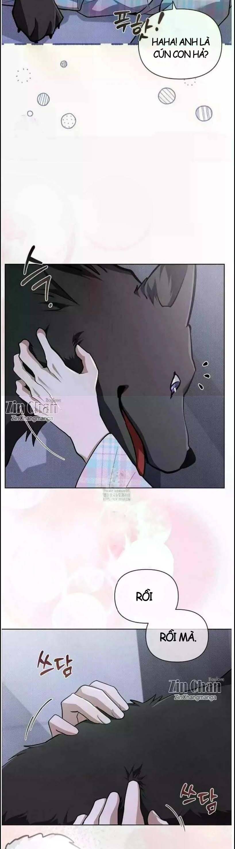 Đừng Đùa Với Cún Con Chapter 50 - Trang 2