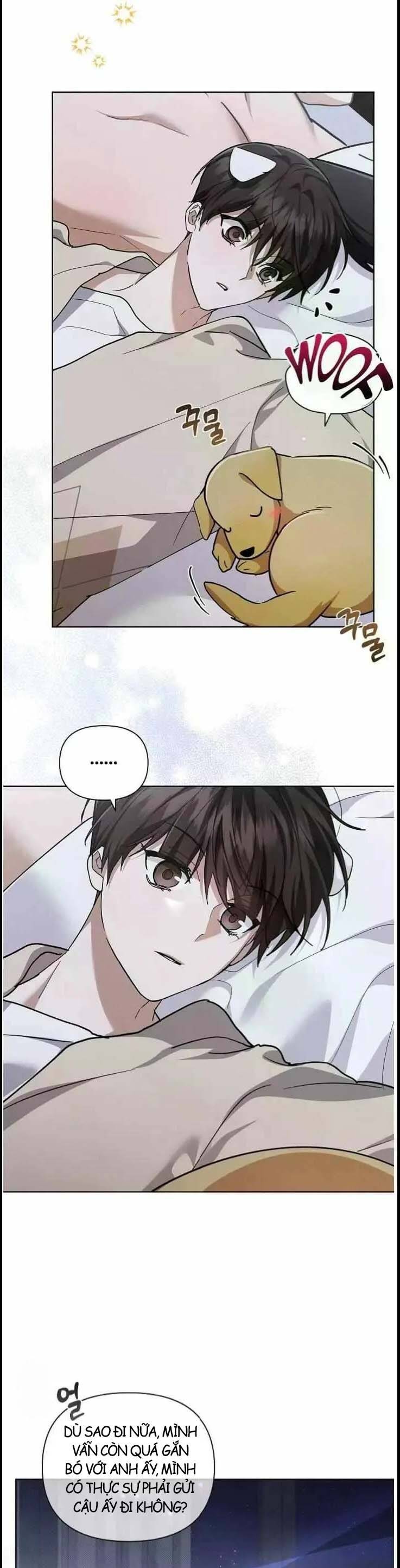 Đừng Đùa Với Cún Con Chapter 51 - Trang 2