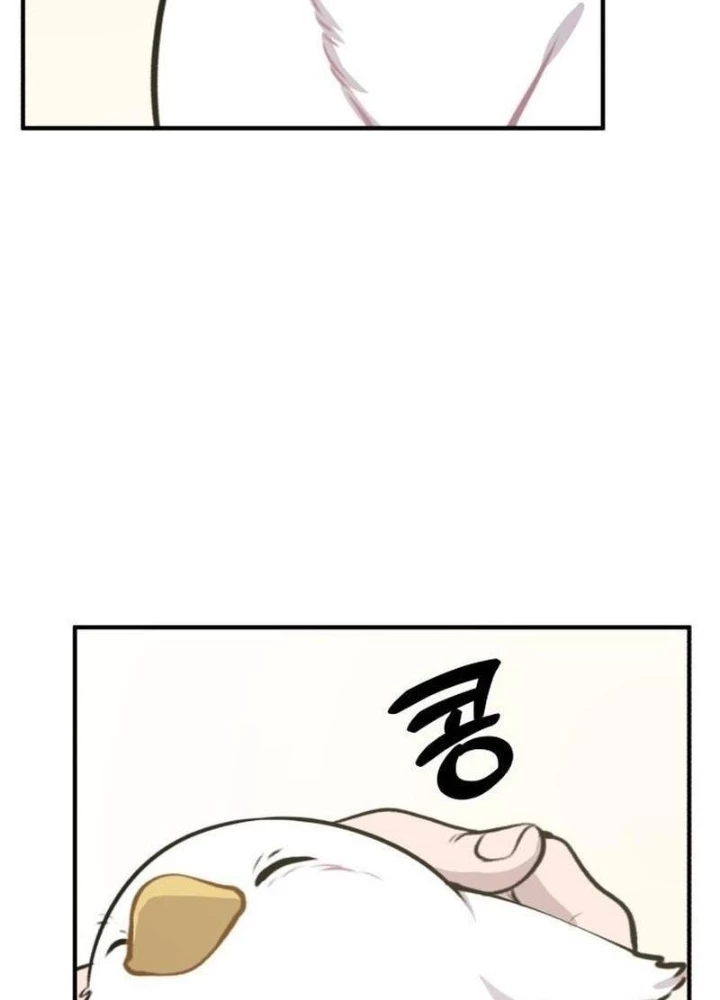 Chào Nhé, Griffin Mắt Tròn! Chapter 1 - Trang 2