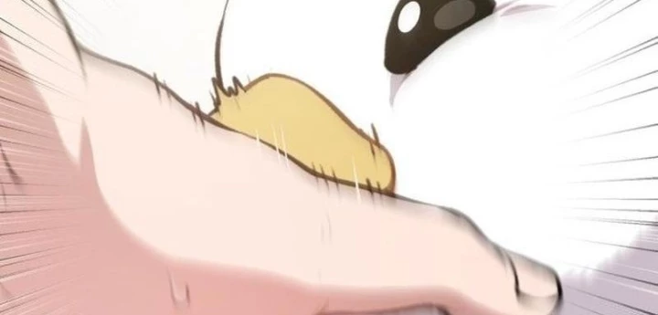 Chào Nhé, Griffin Mắt Tròn! Chapter 1 - Trang 2