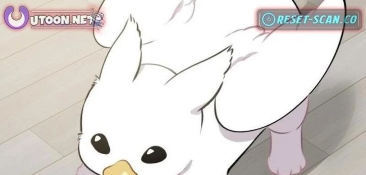 Chào Nhé, Griffin Mắt Tròn! Chapter 1 - Trang 2