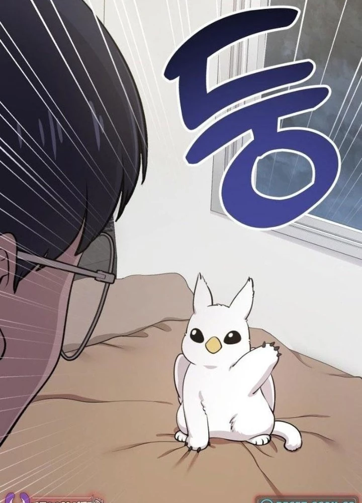 Chào Nhé, Griffin Mắt Tròn! Chapter 1 - Trang 2