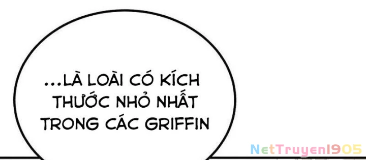 Chào Nhé, Griffin Mắt Tròn! Chapter 1 - Trang 2