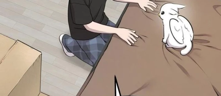 Chào Nhé, Griffin Mắt Tròn! Chapter 1 - Trang 2