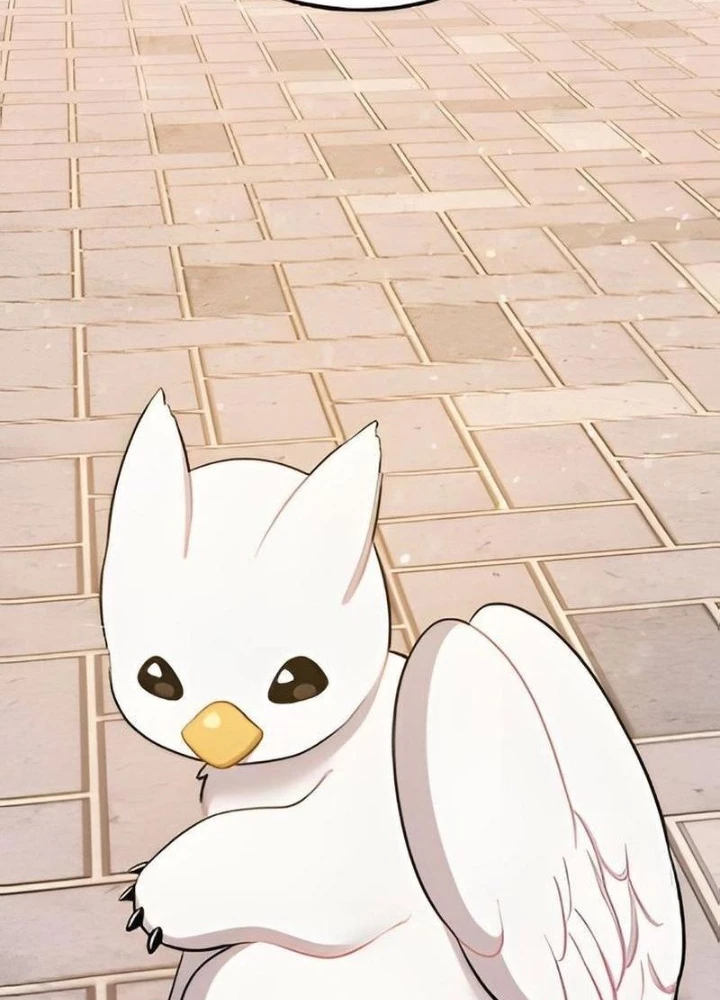 Chào Nhé, Griffin Mắt Tròn! Chapter 2 - Trang 2