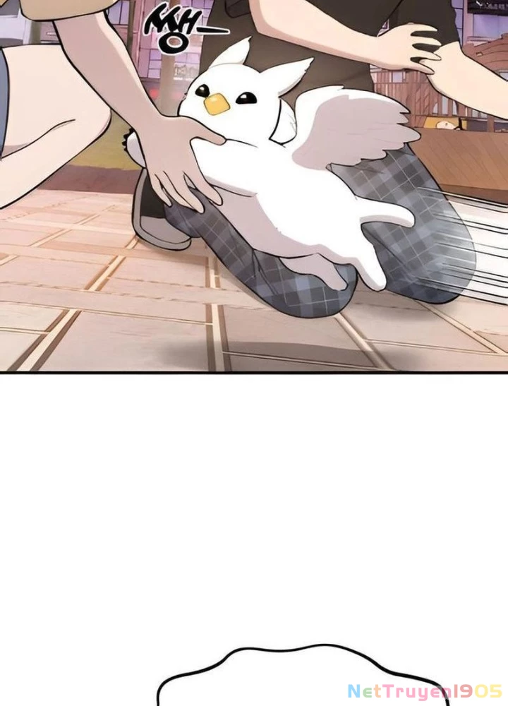 Chào Nhé, Griffin Mắt Tròn! Chapter 2 - Trang 2