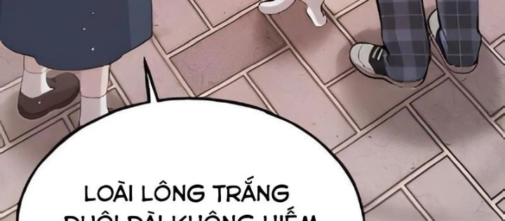 Chào Nhé, Griffin Mắt Tròn! Chapter 2 - Trang 2