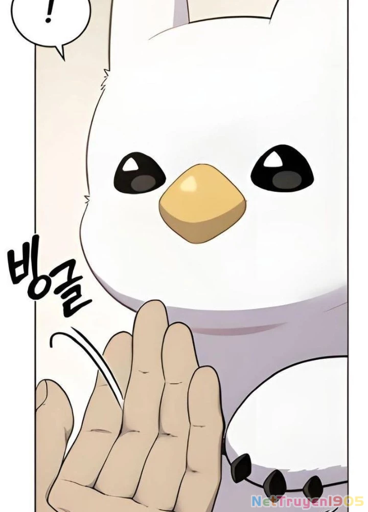 Chào Nhé, Griffin Mắt Tròn! Chapter 3 - Trang 2