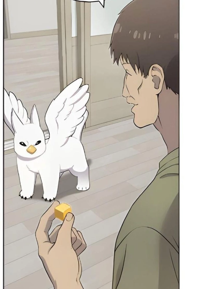 Chào Nhé, Griffin Mắt Tròn! Chapter 3 - Trang 2