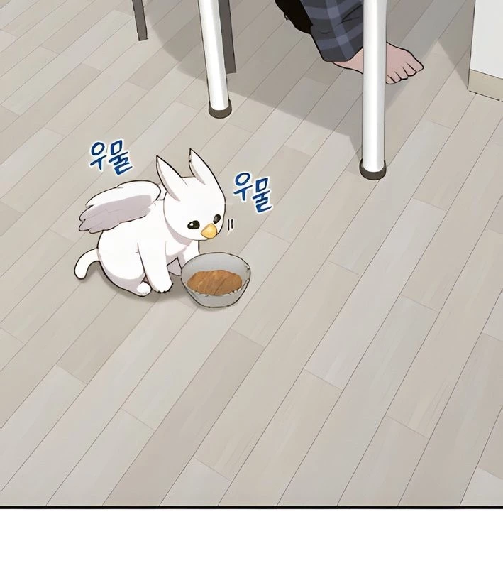 Chào Nhé, Griffin Mắt Tròn! Chapter 4 - Trang 2